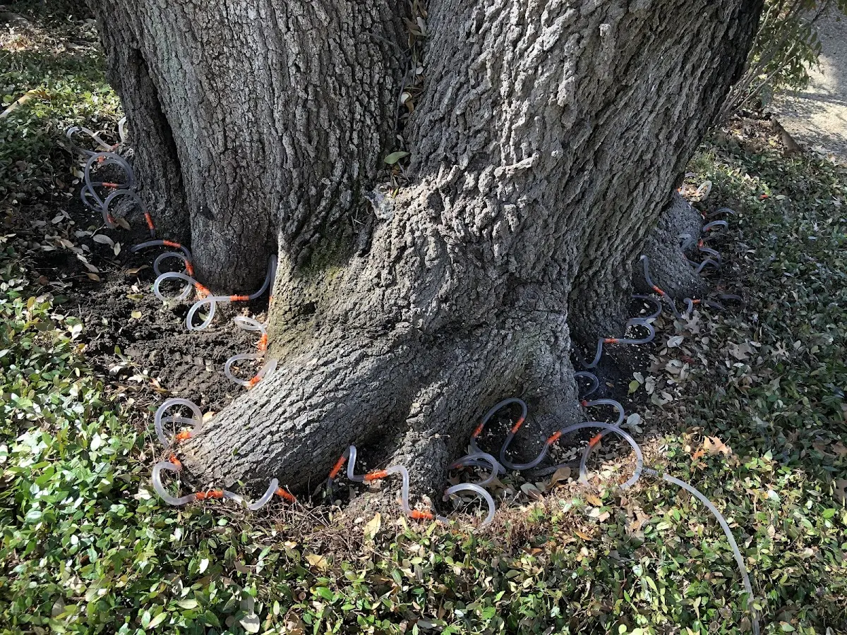 Detailed Shrub and Hedge Trimming job site in West Union