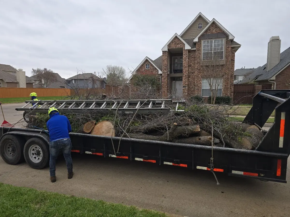 Expert Tree Fertilization with proper safety equipment in West Union